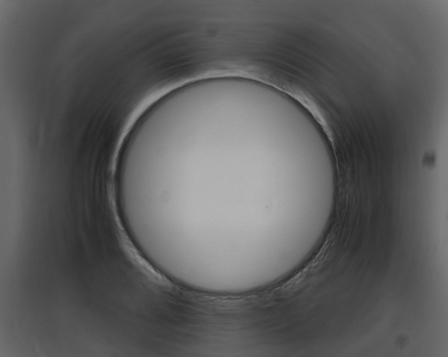X0000097801080200803140731