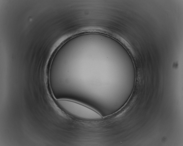 X0000097801082200803140731