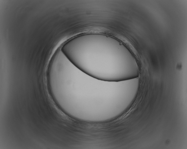 X0000097801083200803140731