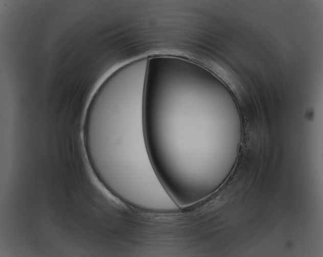 X0000097801084200803140731