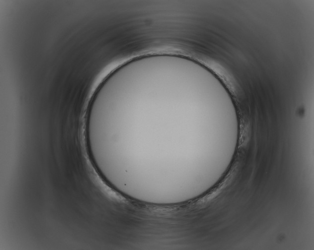 X0000097801086200803140731