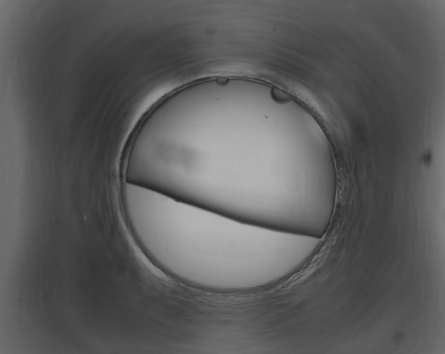 X0000097801087200803140731