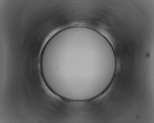 X0000097801090200803140731