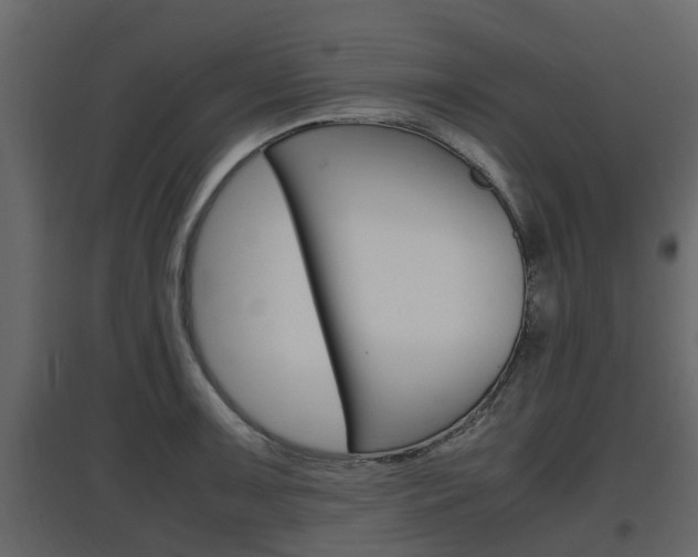X0000097801091200803140731