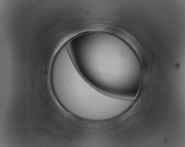 X0000097801093200803140731