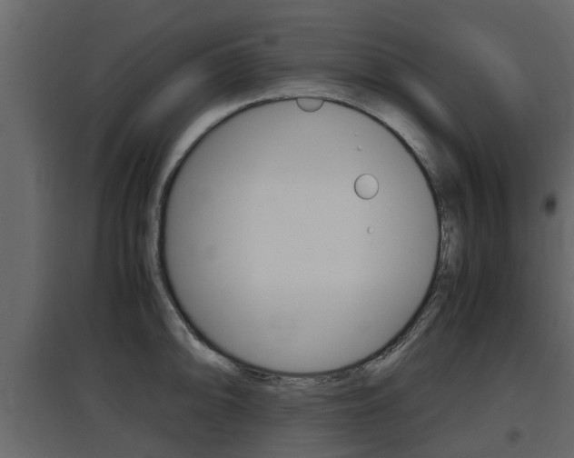 X0000097801094200803140731