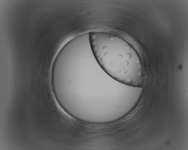 X0000097801095200803140731