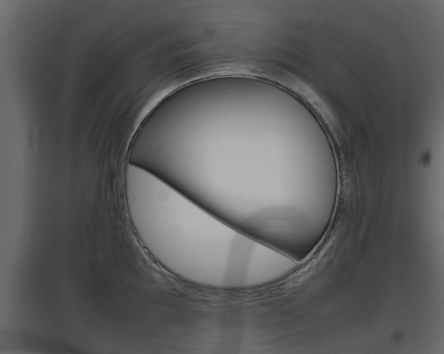 X0000097801097200803140731