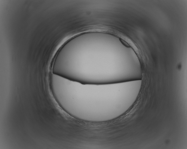 X0000097801099200803140730