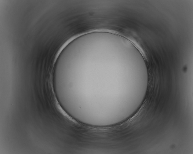 X0000097801100200803140730