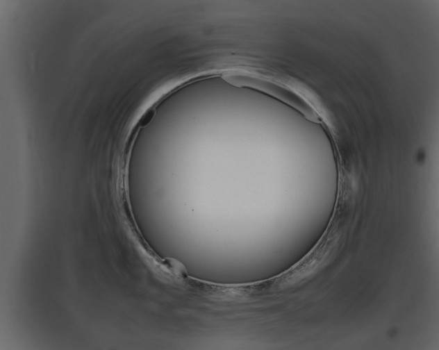 X0000097801101200803140730