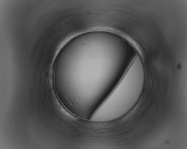 X0000097801102200803140730