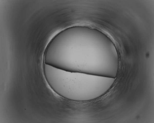 X0000097801103200803140730