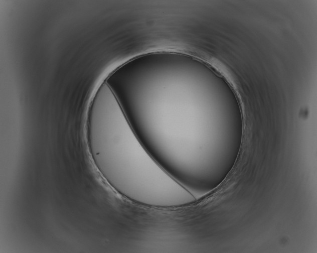X0000097801104200803140730