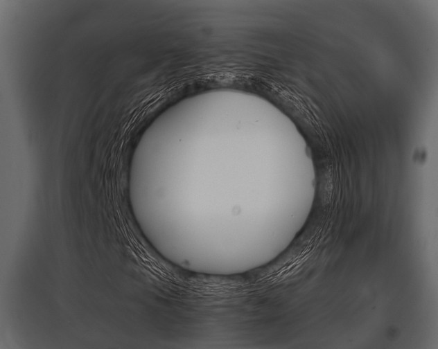 X0000097801105200803140730