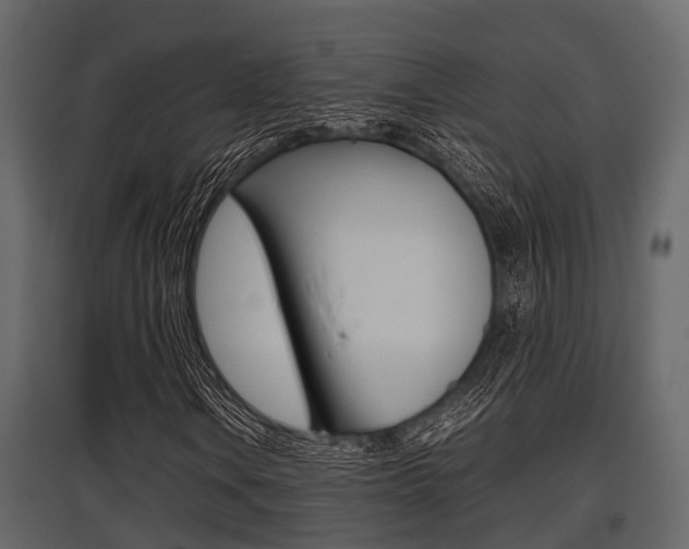 X0000097801106200803140730