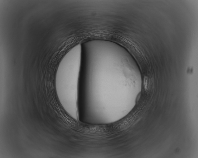 X0000097801107200803140730