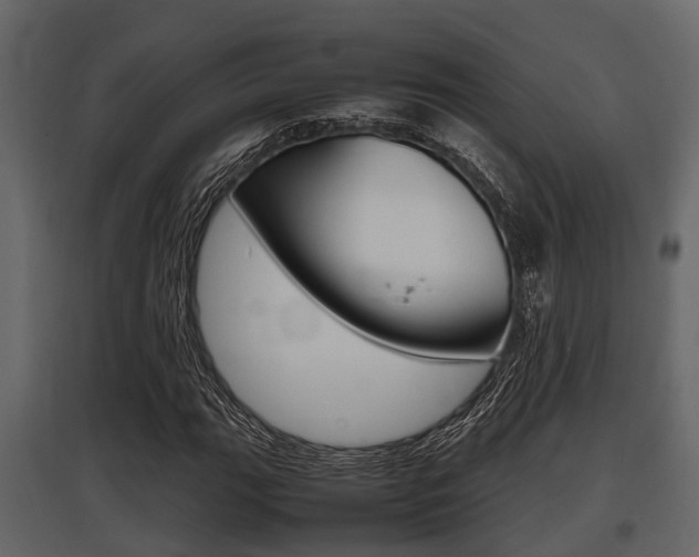X0000097801111200803140730