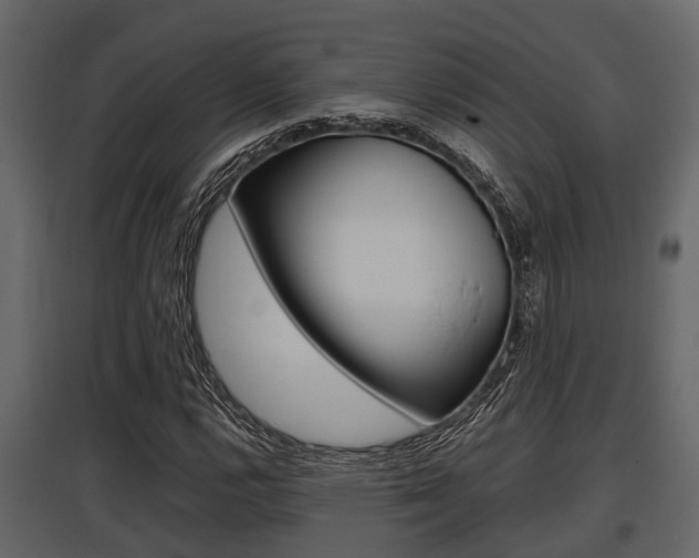 X0000097801112200803140730