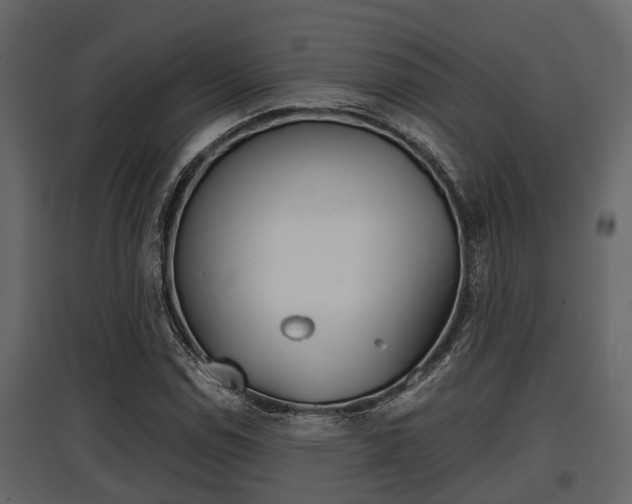 X0000097801114200803140730