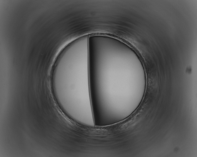 X0000097801119200803140730