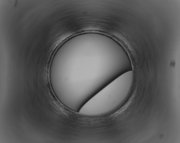 X0000097801121200803140730