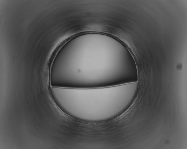 X0000097801123200803140730