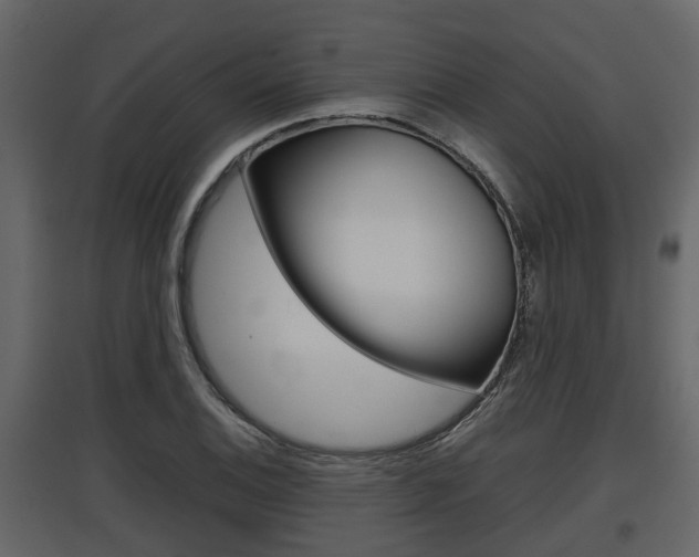 X0000097801124200803140730