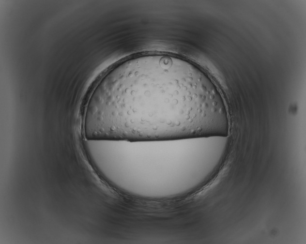X0000097801125200803140730
