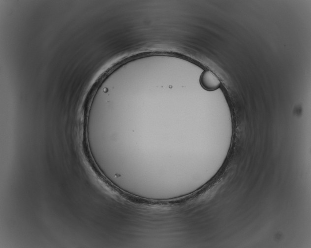 X0000097801126200803140730