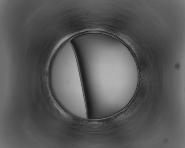 X0000097801127200803140730