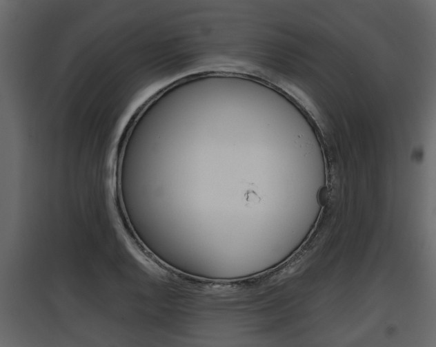 X0000097801128200803140730
