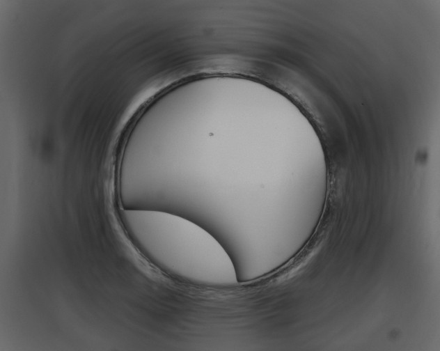 X0000097801130200803140730
