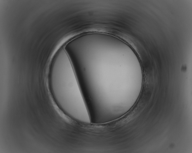 X0000097801131200803140730