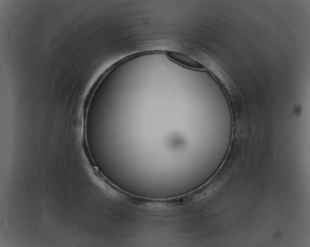 X0000097801132200803140730