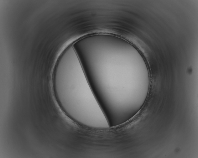 X0000097801133200803140730