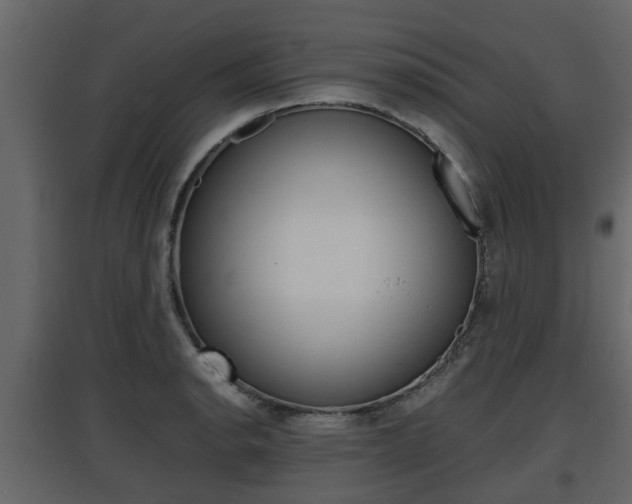 X0000097801134200803140730