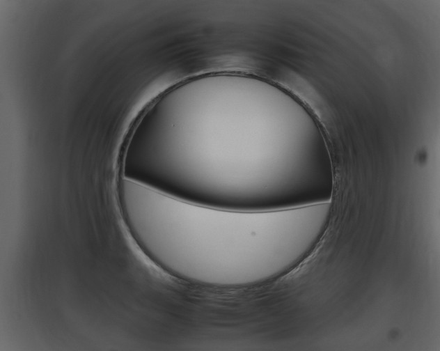 X0000097801135200803140730