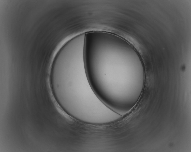 X0000097801136200803140730