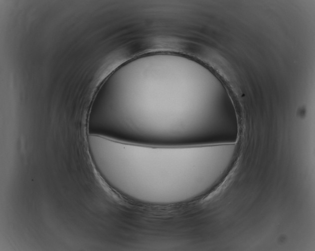 X0000097801137200803140730