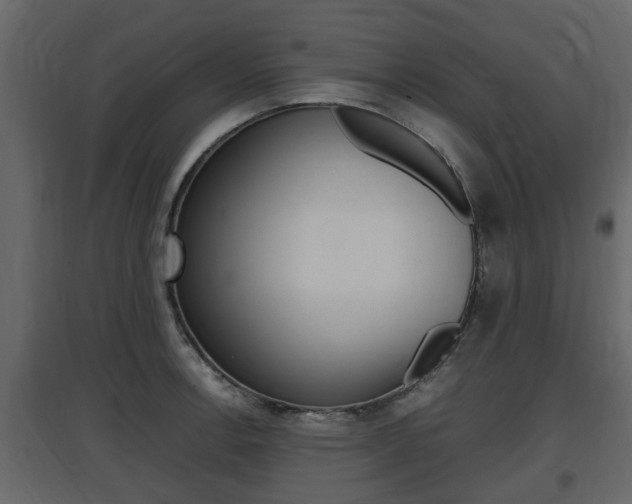 X0000097801138200803140730