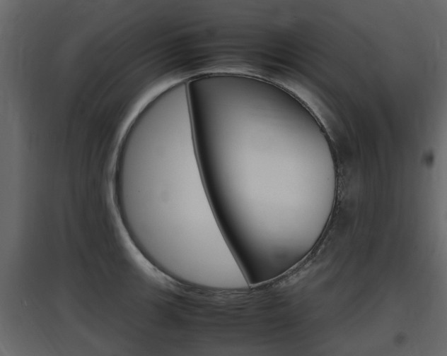 X0000097801139200803140730