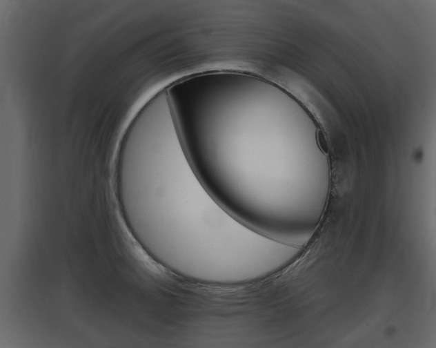 X0000097801140200803140730
