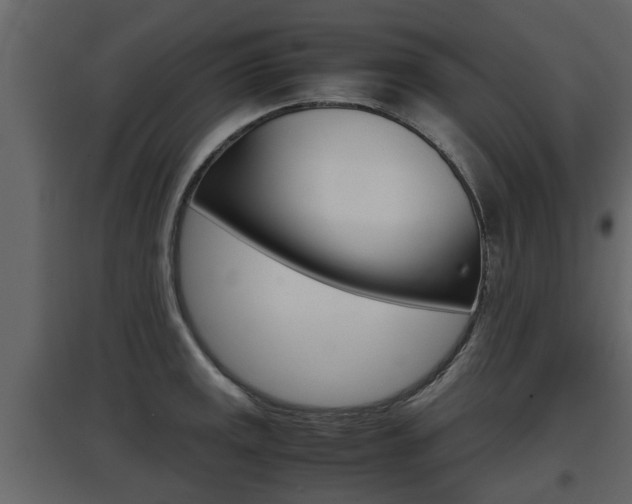 X0000097801141200803140730