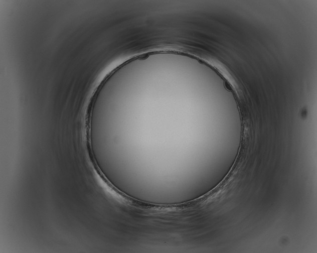 X0000097801143200803140730
