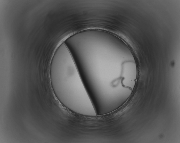 X0000097801145200803140730