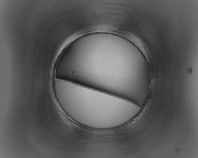 X0000097801146200803140730