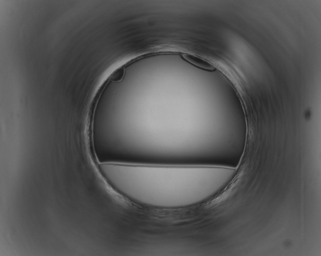 X0000097801149200803140730