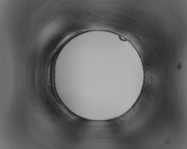 X0000097801150200803140730