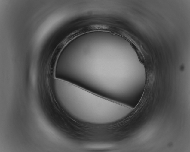X0000097801151200803140730